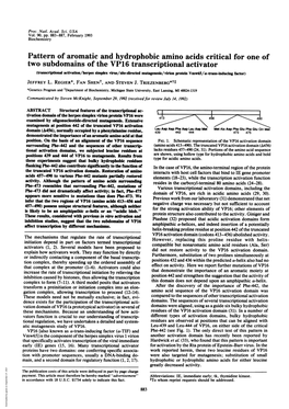 Pattern of Aromatic and Hydrophobic Amino Acids Critical for One of Two