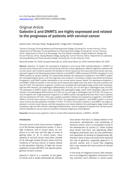 Original Article Galectin-1 and DNMT1 Are Highly Expressed and Related to the Prognoses of Patients with Cervical Cancer