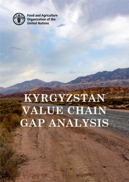 Kyrgyzstan Value Chain Gap Analysis