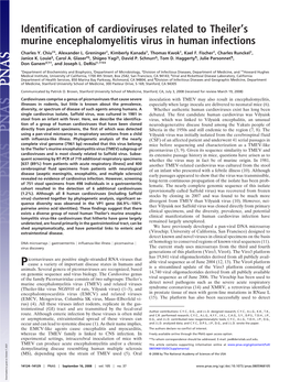 Identification of Cardioviruses Related to Theiler's Murine Encephalomyelitis Virus in Human Infections