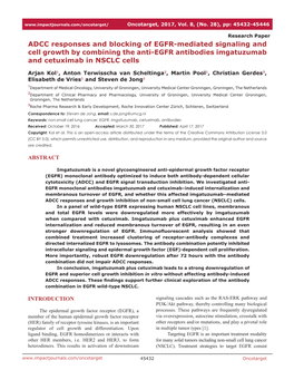 ADCC Responses and Blocking of EGFR-Mediated Signaling and Cell Growth by Combining the Anti-EGFR Antibodies Imgatuzumab and Cetuximab in NSCLC Cells