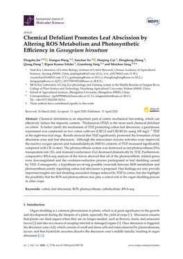 Chemical Defoliant Promotes Leaf Abscission by Altering ROS Metabolism and Photosynthetic Eﬃciency in Gossypium Hirsutum