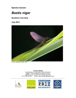 Baetis Niger