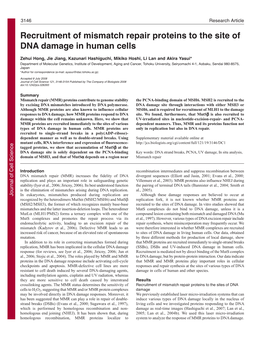 Recruitment of Mismatch Repair Proteins to the Site of DNA Damage in Human Cells