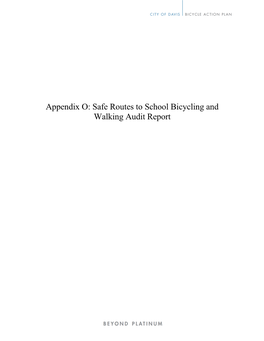 Safe Routes to School Bicycling and Walking Audit Report