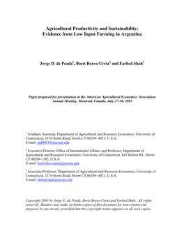 Agricultural Productivity and Sustainability: Evidence from Low Input Farming in Argentina