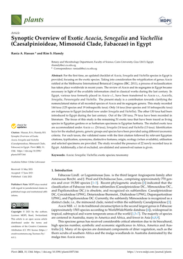 Synoptic Overview of Exotic Acacia, Senegalia and Vachellia (Caesalpinioideae, Mimosoid Clade, Fabaceae) in Egypt