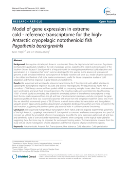 Reference Transcriptome for the High- Antarctic Cryopelagic Notothenioid Fish Pagothenia Borchgrevinki Kevin T Bilyk1,2* and C-H Christina Cheng1