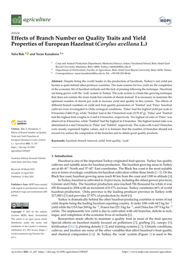 Effects of Branch Number on Quality Traits and Yield Properties of European Hazelnut (Corylus Avellana L.)