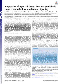 Progression of Type 1 Diabetes from the Prediabetic Stage Is Controlled by Interferon-Α Signaling