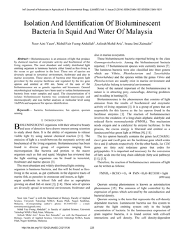 Isolation and Identification of Bioluminescent Bacteria in Squid and Water of Malaysia