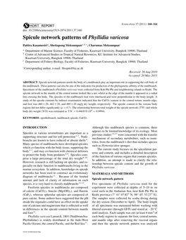 Spicule Network Patterns of Phyllidia Varicosa