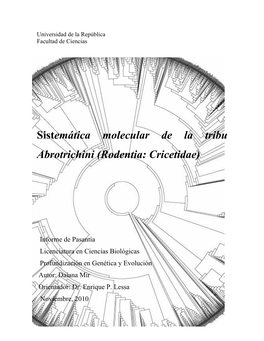 Sistemática Molecular De La Tribu Abrotrichini (Rodentia: Cricetidae)