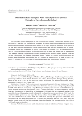 Distributional and Ecological Notes on Pachyrhynchus Apoensis (Coleoptera, Curculionidae, Entiminae)