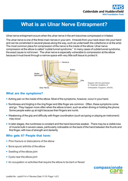 Csph0114 V1 Nov19 Ulnar Nerve A4.Pmd