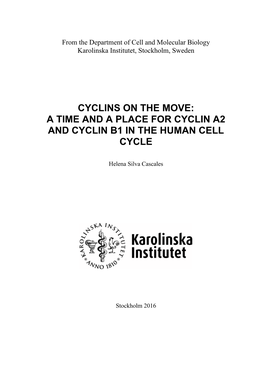 A Time and a Place for Cyclin A2 and Cyclin B1 in the Human Cell Cycle