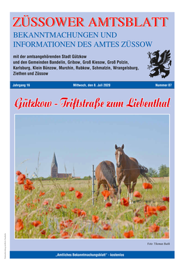 Züssower Amtsblatt Nr. 07 / 2020