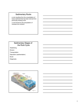 Sedimentary Rocks