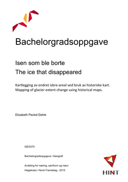 Bachelorgradsoppgave