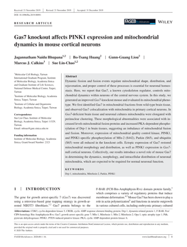 Gas7 Knockout Affects PINK1 Expression and Mitochondrial Dynamics in Mouse Cortical Neurons