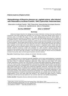 Histopathology of Brassica Oleracea Var. Capitata Subvar
