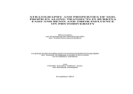 Stratigraphy and Properties of Soil Profiles Along Transects in Burkina Faso and Benin and Their Influence on Phytodiversity