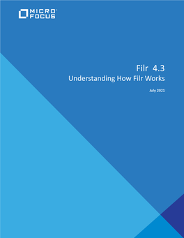 Understanding How Filr Works