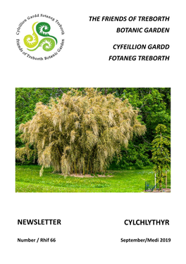 Newsletter Cylchlythyr