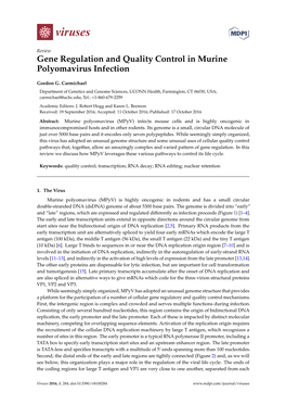 Gene Regulation and Quality Control in Murine Polyomavirus Infection