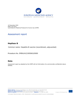 Assessment Report