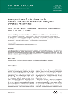 An Enigmatic New Scaphiophryne Toadlet from the Rainforests of North-Eastern Madagascar (Amphibia: Microhylidae)