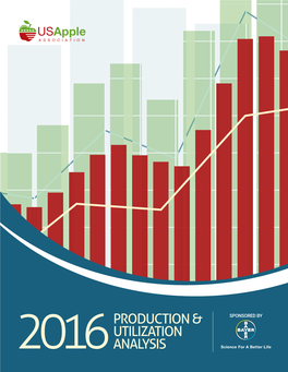 Production & Utilization Analysis