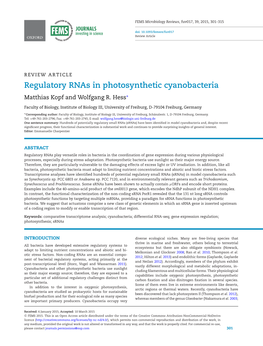 Regulatory Rnas in Photosynthetic Cyanobacteria Matthias Kopf and Wolfgang R