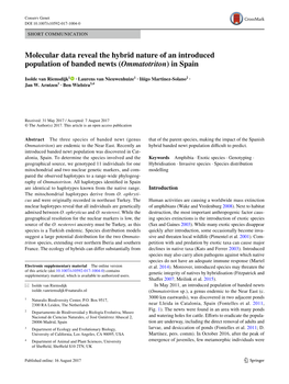 Molecular Data Reveal the Hybrid Nature of an Introduced Population of Banded Newts (Ommatotriton) in Spain