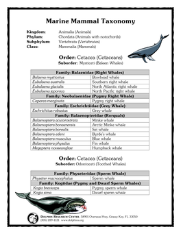 Marine Mammal Taxonomy