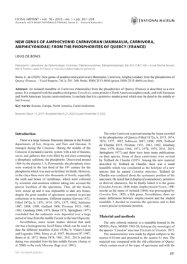 New Genus of Amphicyonid Carnivoran (Mammalia, Carnivora, Amphicyonidae) from the Phosphorites of Quercy (France)