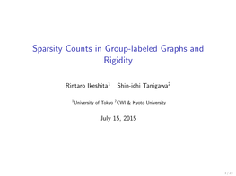 Sparsity Counts in Group-Labeled Graphs and Rigidity