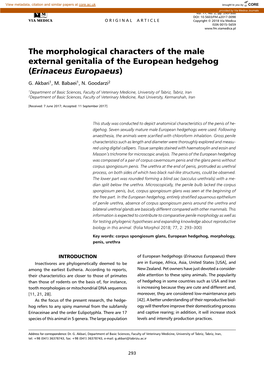 The Morphological Characters of the Male External Genitalia of the European Hedgehog (Erinaceus Europaeus) G