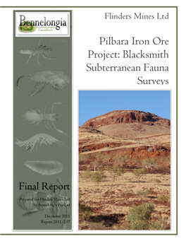 Pilbara Iron Ore Project: Blacksmith Subterranean Fauna Surveys