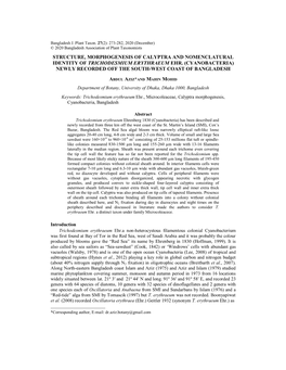 Structure, Morphogenesis of Calyptra and Nomenclatural Identity of Trichodesmium Erythraeum Ehr