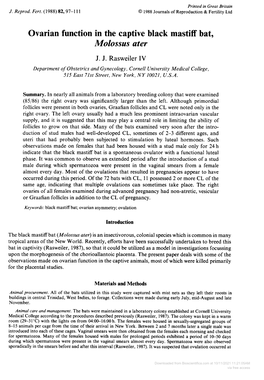 Ovarian Function in the Captive Black Mastiff Bat, Molossus Ater