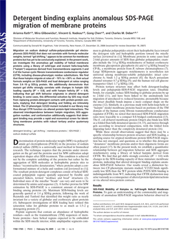 Detergent Binding Explains Anomalous SDS-PAGE Migration of Membrane Proteins