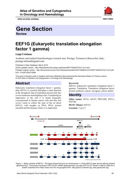 Gene Section Review