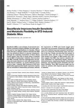 Bezafibrate Improves Insulin Sensitivity and Metabolic Flexibility