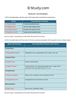 The Axial Skeleton Visual Worksheet