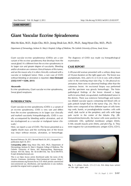 Giant Vascular Eccrine Spiradenoma Ann Dermatol Vol