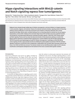 Hippo Signaling Interactions with Wnt/Β-Catenin and Notch Signaling Repress Liver Tumorigenesis