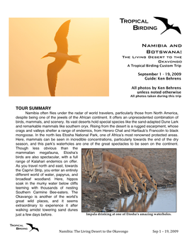 Namibia and Botswana: the Living Desert to the Okavongo a Tropical Birding Custom Trip