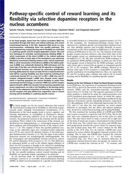 Pathway-Specific Control of Reward Learning and Its Flexibility Via Selective Dopamine Receptors in the Nucleus Accumbens