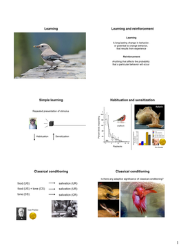 Learning Learning and Reinforcement Simple Learning Habituation and Sensitization Classical Conditioning Classical Conditioning